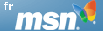 search msn