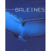 Baleines : aux premiers jours