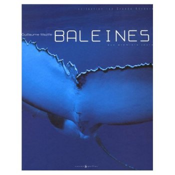 Baleines : aux premiers jours