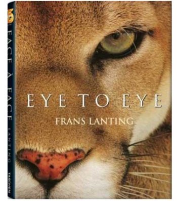 Eye to eye