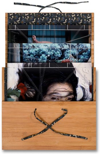 Nobuyoshi Araki, Bondage Book