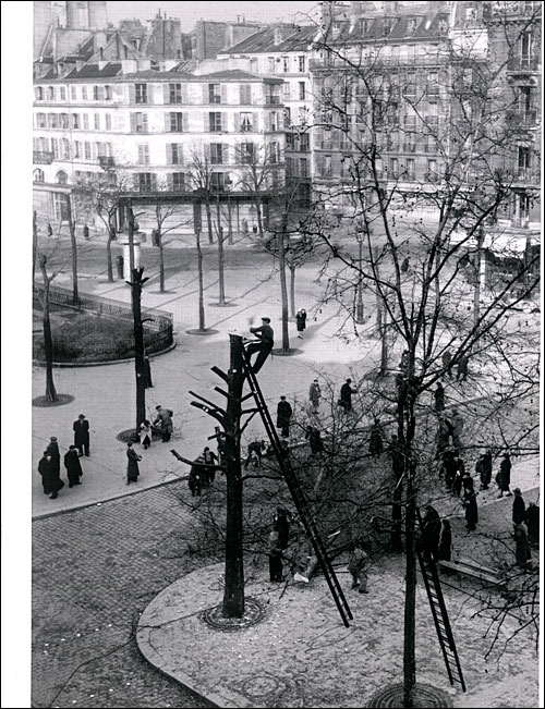 Paris éternellement Willy Ronis - 