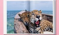 National Geographic : Around the World in 125 Years