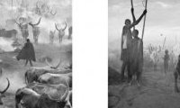 Sebastiao Salgado : Africa