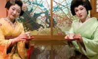 Japan : Light and Shadows in the Land of the Rising Sun