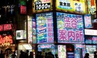 Japan : Light and Shadows in the Land of the Rising Sun