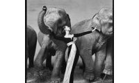 Richard Avedon - Photographies 1946 - 2004