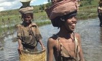Madagascar... 10 ans après
