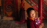 Les chemins de Bouddha : Pèlerinage tibétain