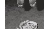 Roger Ballen : Boarding House