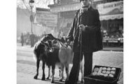 Les petits métiers d'Atget à Willy Ronis