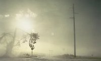 Intimate Distance