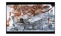 Peter Beard Art Edition : N.251-2500