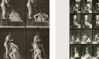 Eadweard Muybridge : The Complete Locomotion Photographs