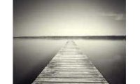 Denis Olivier