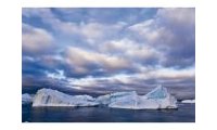 Antarctic : Life in the Polar Regions
