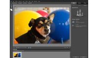Photoshop Elements 10