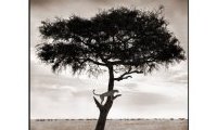 On This Earth : Photographs From East Africa