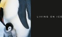 Frans Lanting, Penguin