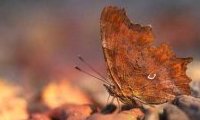 Le Perche, trésors de nature