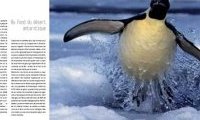 Antarctique : Coeur blanc de la Terre