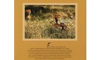 Les princes de la savane