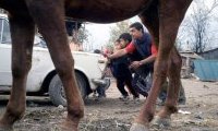 Roma Realities