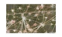 Empreintes : Photos satellites de l'oeuvre humain