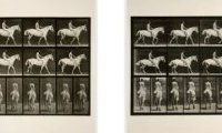 Eadweard Muybridge : The Complete Locomotion Photographs