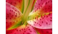 Adobe Photoshop Lightroom 3