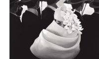 Frank Horvat. 50-65 : 50-65