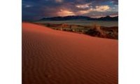 Namibie le désert de la vie