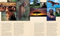 Les plus beaux safaris photos du monde