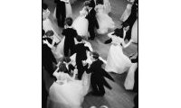 Bal la Reine Charlotte