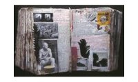 Peter Beard Art Edition : N.251-2500