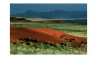 Namibie le désert de la vie