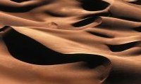 Sahara