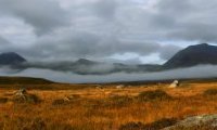 Scotland Panorama