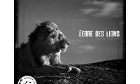 Terre des Lions