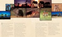 Les plus beaux safaris photos du monde
