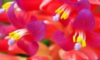 Adobe Photoshop Lightroom 3