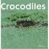 Crocodiles 