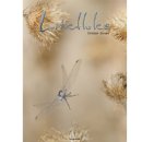 Libellules