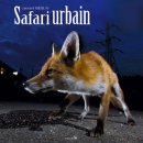 Safari urbain