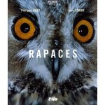 Rapaces