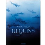 Michael Muller. Requins.