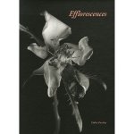 Efflorescences 