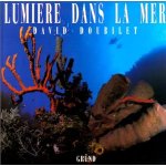 Lumière dans la mer 