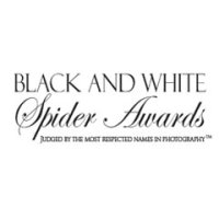 Black and White Spider Awards, 2009