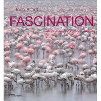 Fascination. Quand les animaux se rassemblent 